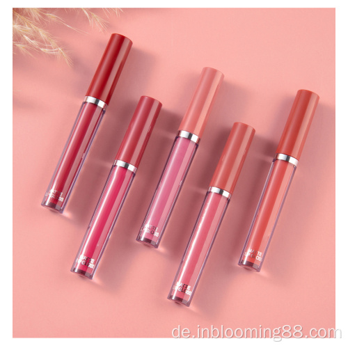 Großhandel Make -up Matte Pink Private Lip Gloss